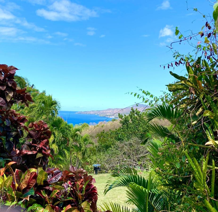 Lodge Colibris Piscine Privee Vue Panoramique Mer Et Montagne Pelee , 500 M Plage Dans Un Parc , Calme Assure Ideal Pour Decouvrir Le Nord Caraibes Le Carbet Ngoại thất bức ảnh