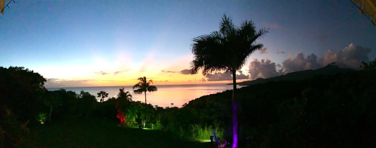 Lodge Colibris Piscine Privee Vue Panoramique Mer Et Montagne Pelee , 500 M Plage Dans Un Parc , Calme Assure Ideal Pour Decouvrir Le Nord Caraibes Le Carbet Ngoại thất bức ảnh