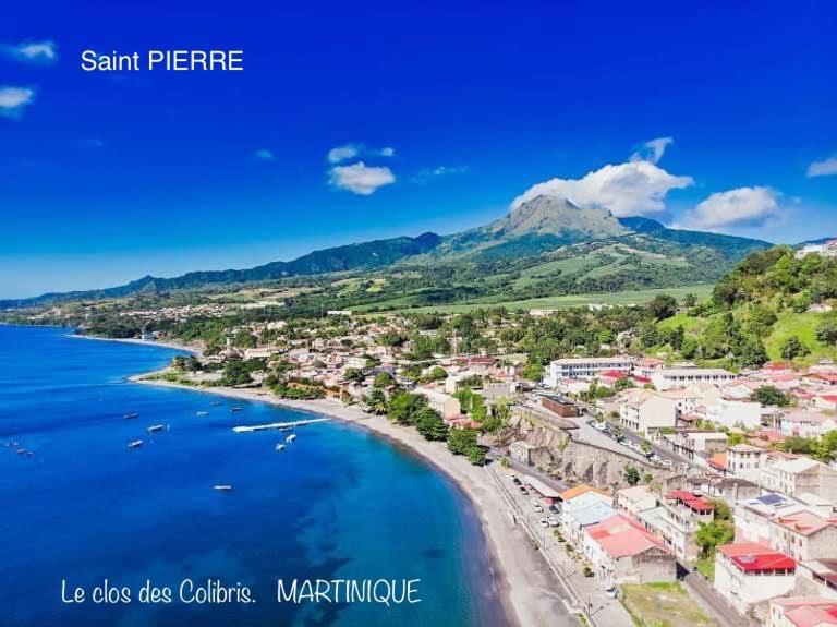 Lodge Colibris Piscine Privee Vue Panoramique Mer Et Montagne Pelee , 500 M Plage Dans Un Parc , Calme Assure Ideal Pour Decouvrir Le Nord Caraibes Le Carbet Ngoại thất bức ảnh