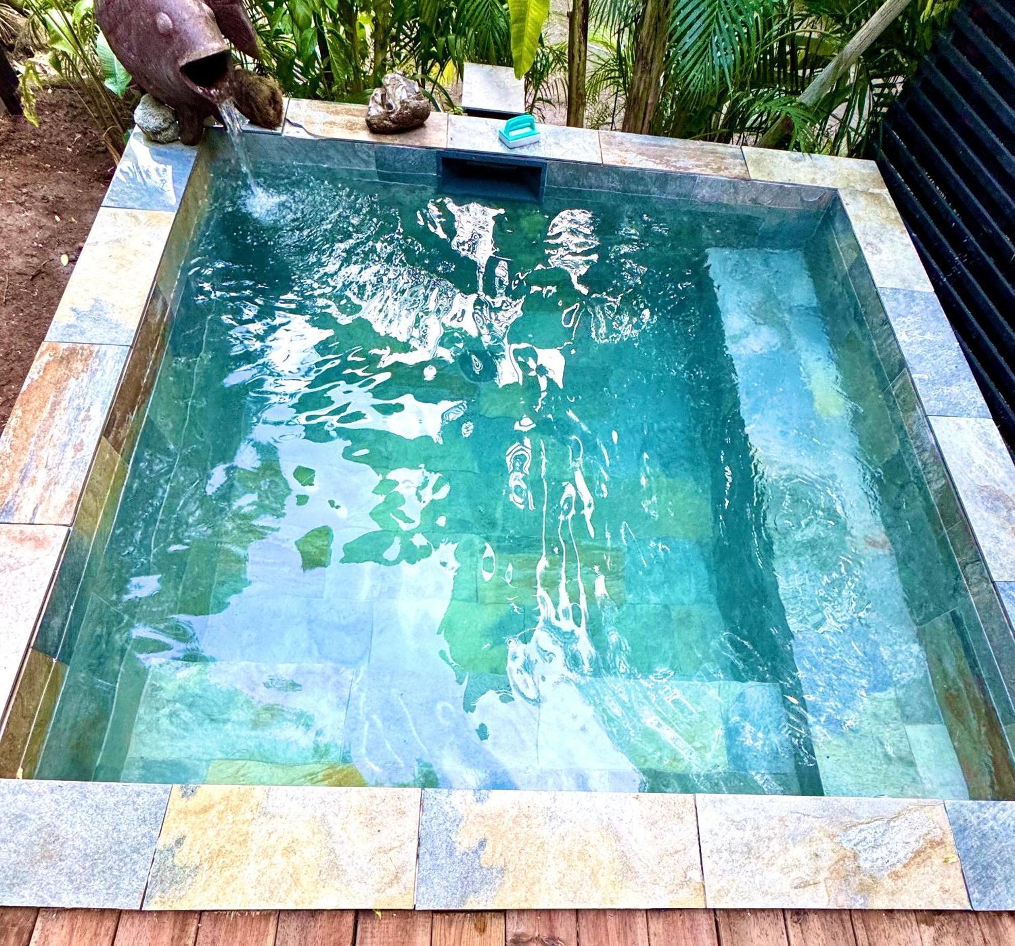 Lodge Colibris Piscine Privee Vue Panoramique Mer Et Montagne Pelee , 500 M Plage Dans Un Parc , Calme Assure Ideal Pour Decouvrir Le Nord Caraibes Le Carbet Ngoại thất bức ảnh