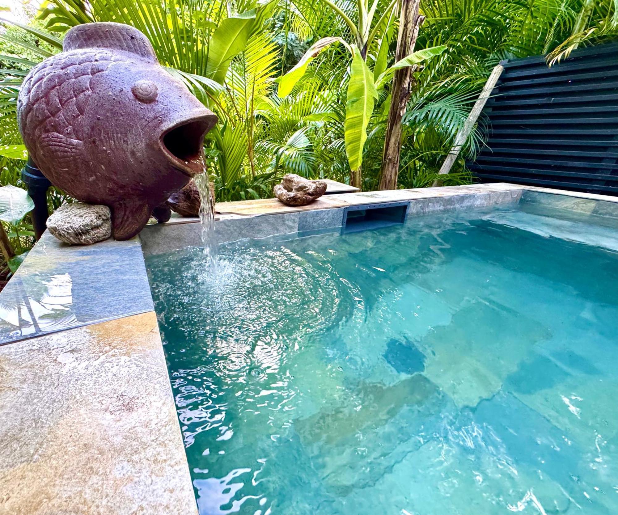 Lodge Colibris Piscine Privee Vue Panoramique Mer Et Montagne Pelee , 500 M Plage Dans Un Parc , Calme Assure Ideal Pour Decouvrir Le Nord Caraibes Le Carbet Ngoại thất bức ảnh