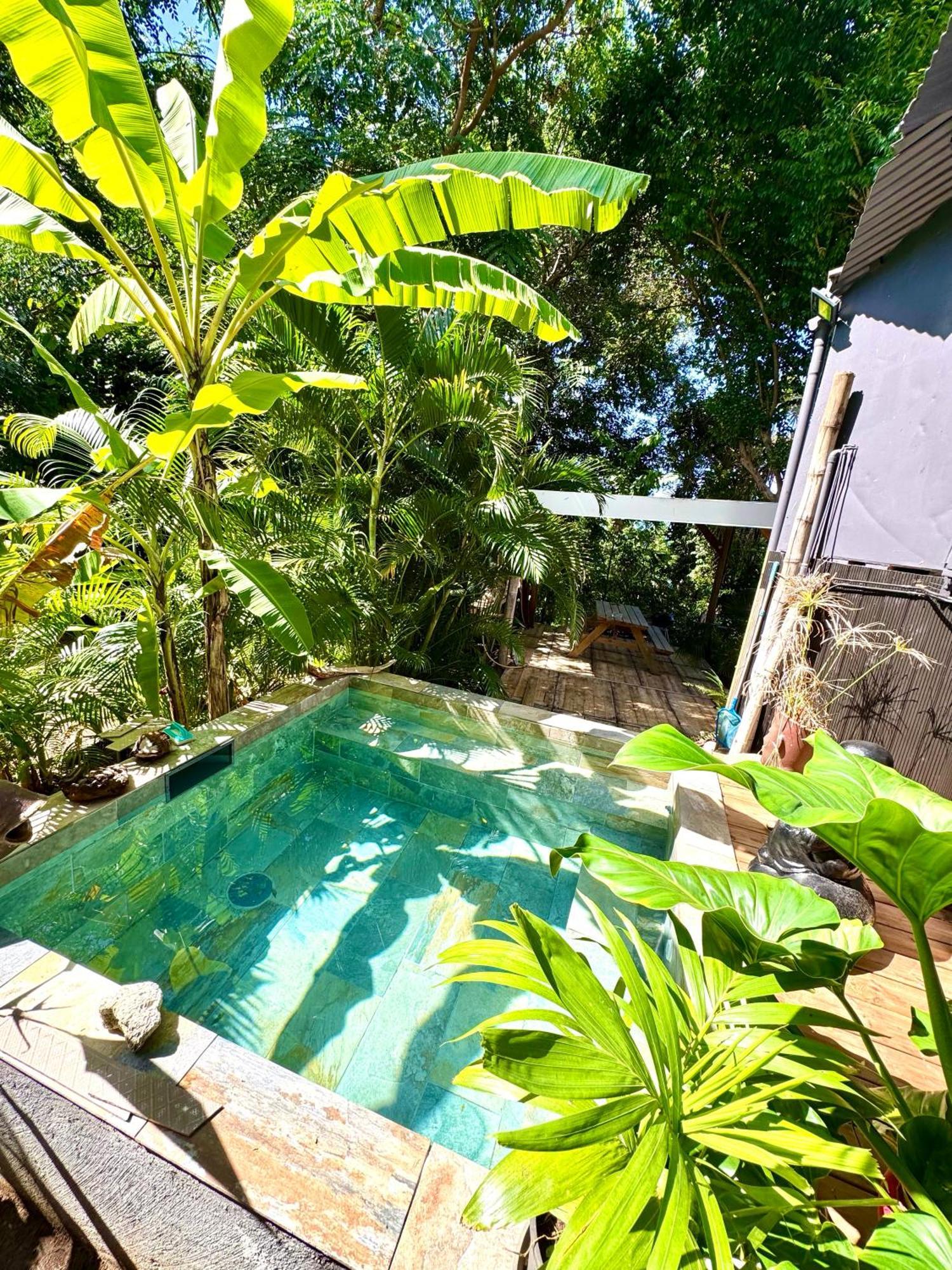 Lodge Colibris Piscine Privee Vue Panoramique Mer Et Montagne Pelee , 500 M Plage Dans Un Parc , Calme Assure Ideal Pour Decouvrir Le Nord Caraibes Le Carbet Ngoại thất bức ảnh